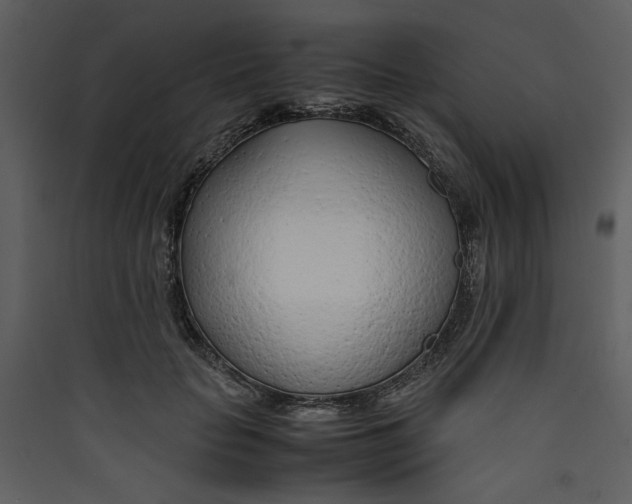 X0000089360653200707131616