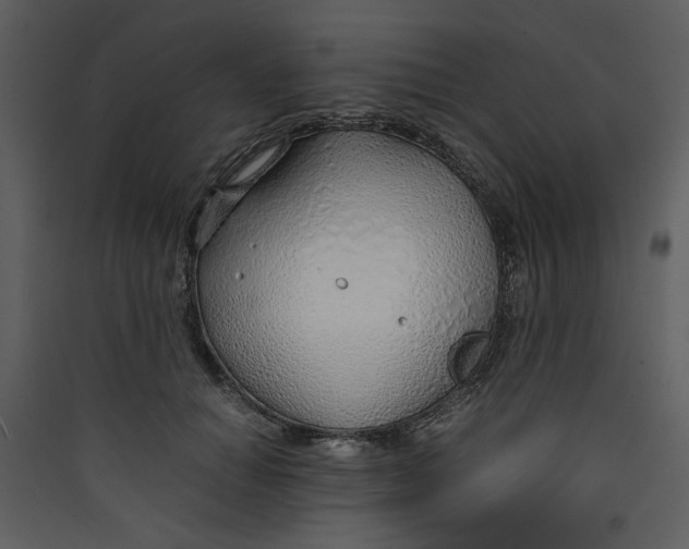 X0000089360654200707131616