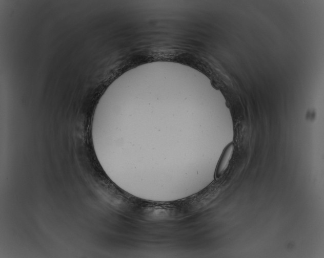 X0000089360655200707131616