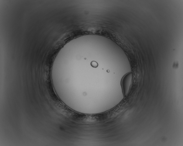 X0000089360656200707131616