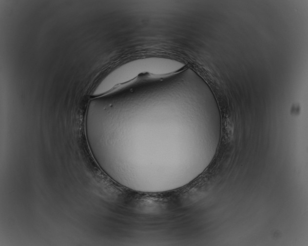 X0000089360657200707131616
