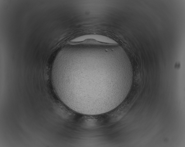 X0000089360658200707131616