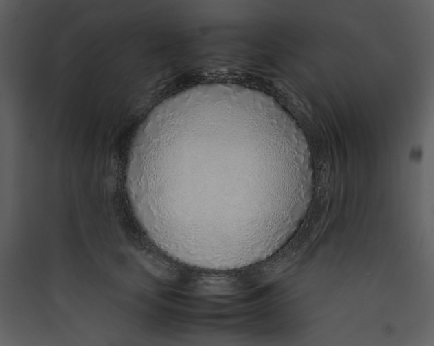 X0000089360659200707131616