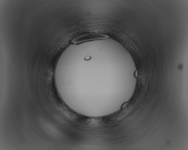 X0000089360660200707131616