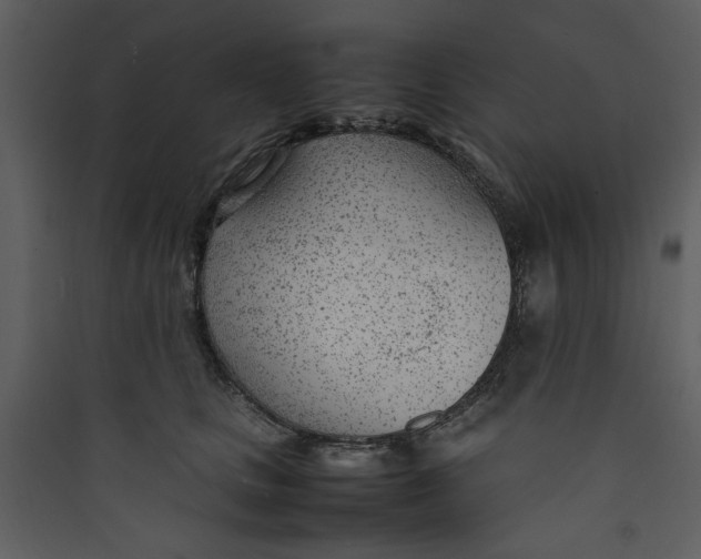 X0000089360661200707131616