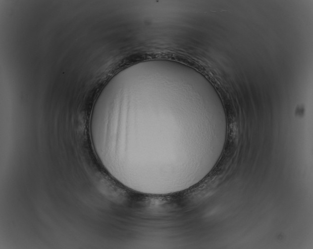 X0000089360662200707131616