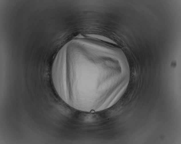 X0000089360663200707131616