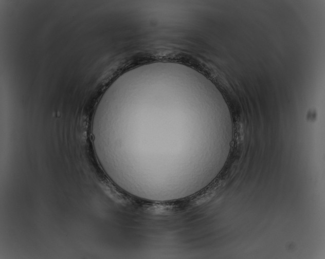 X0000089360664200707131616