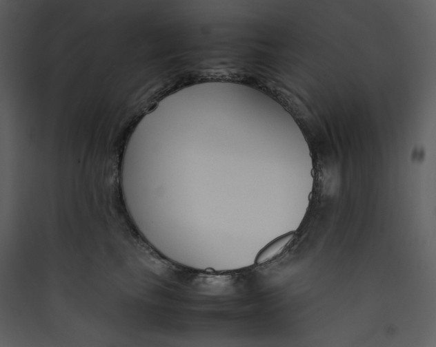 X0000089360665200707131616