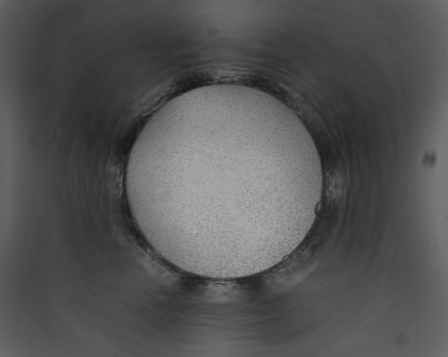 X0000089360666200707131616