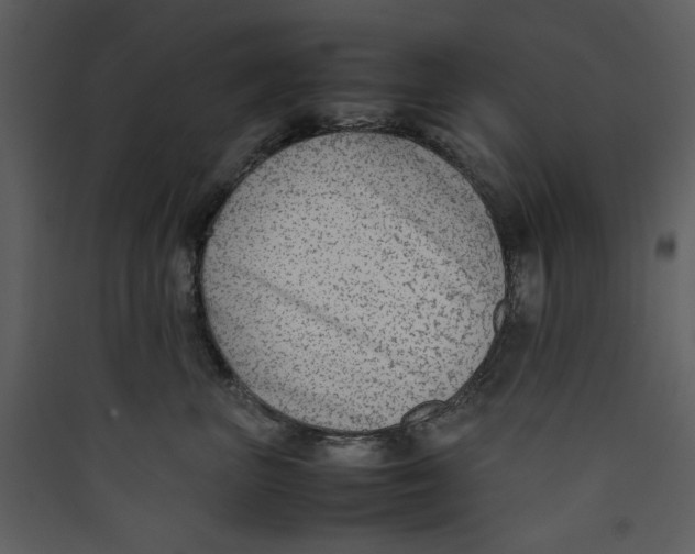 X0000089360667200707131616