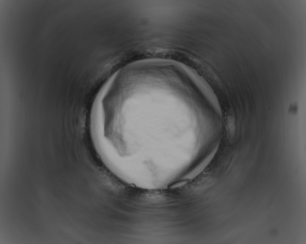 X0000089360668200707131616
