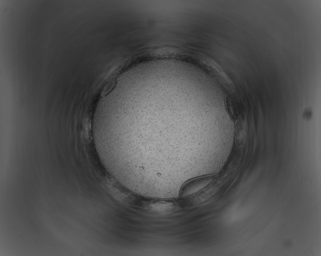 X0000089360669200707131616