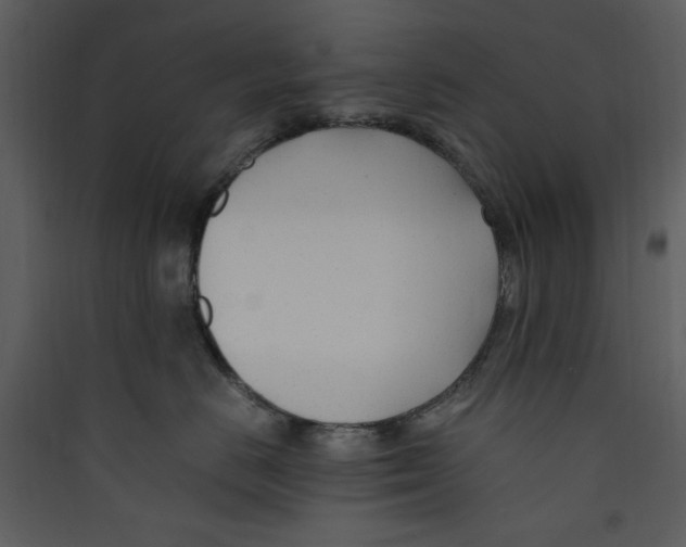 X0000089360670200707131616