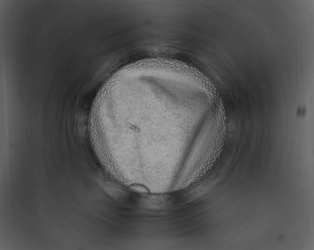 X0000089360671200707131616