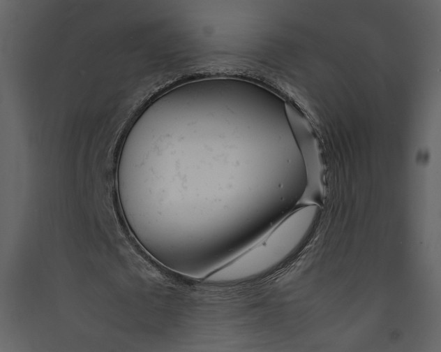 X0000089360673200707131615