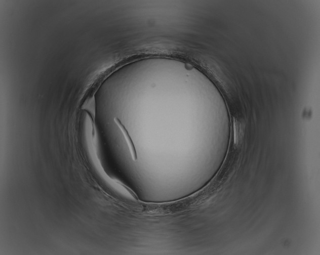 X0000089360675200707131615