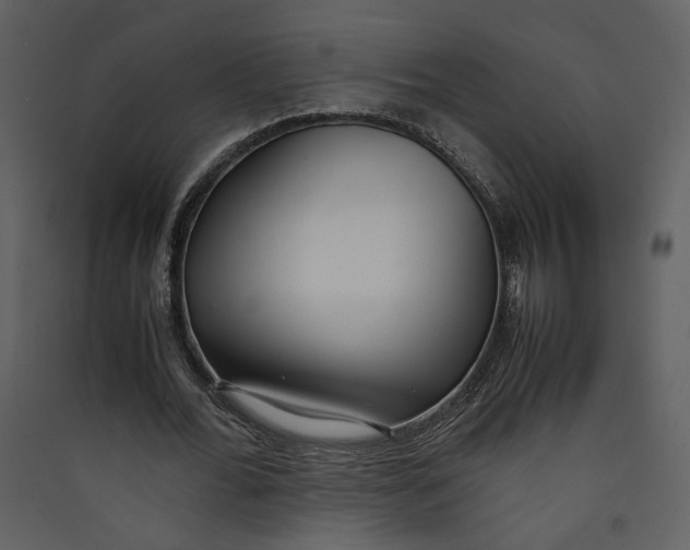 X0000089360676200707131615