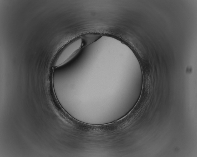 X0000089360677200707131615