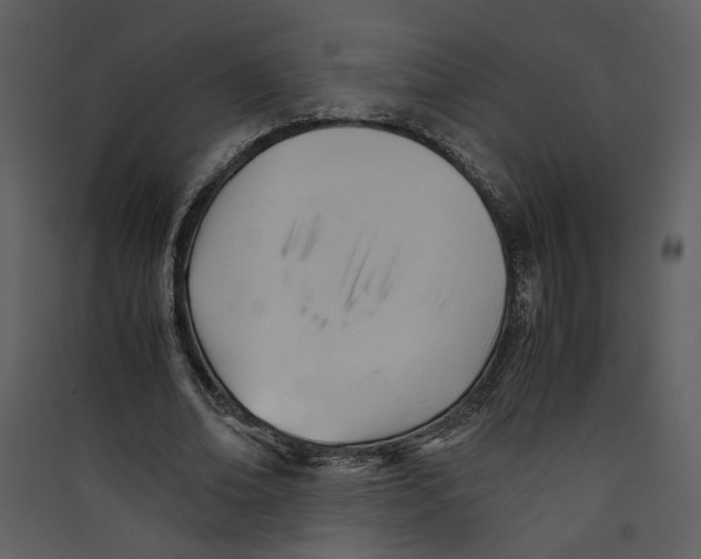 X0000089360678200707131615