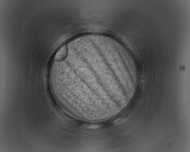 X0000089360679200707131615