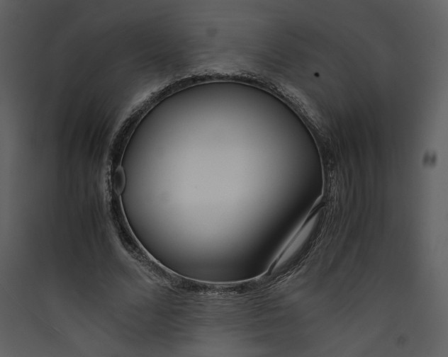 X0000089360680200707131615