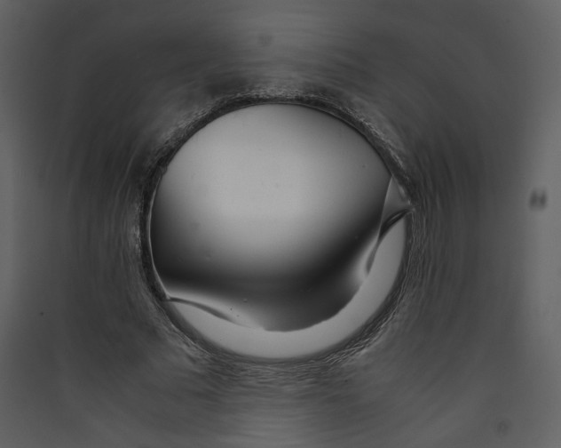 X0000089360681200707131615
