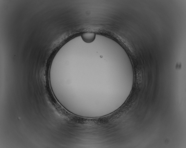 X0000089360682200707131615