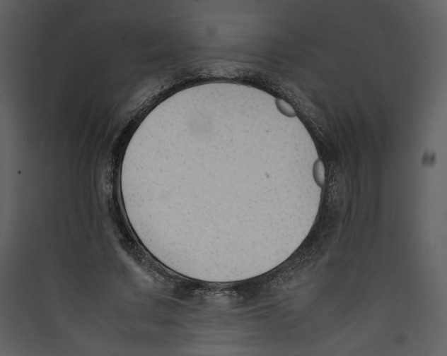 X0000089360683200707131615