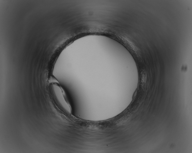 X0000089360684200707131615
