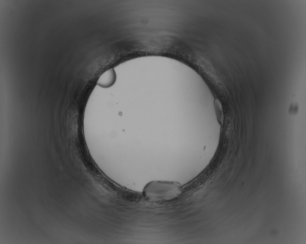 X0000089360685200707131615