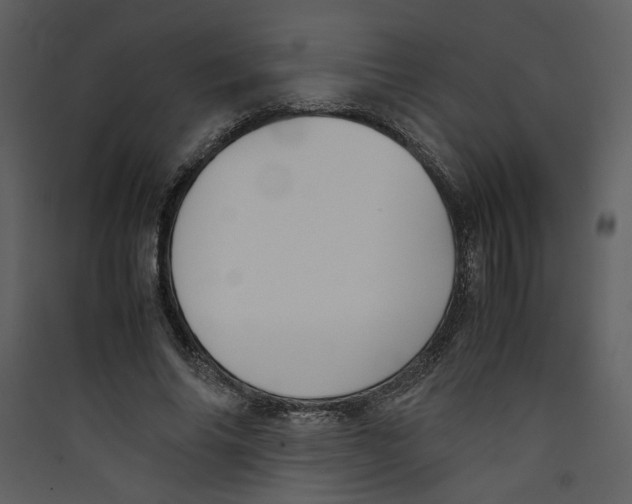 X0000089360686200707131615