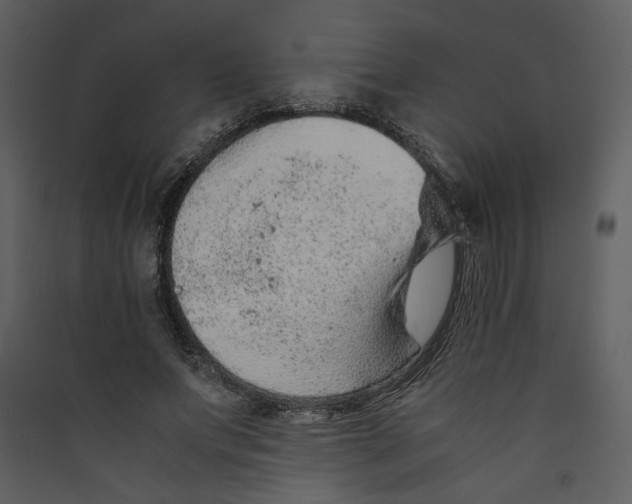 X0000089360687200707131615