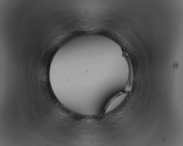 X0000089360689200707131615