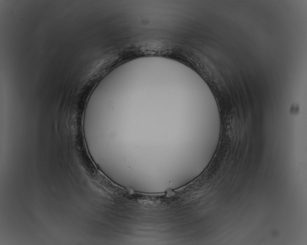 X0000089360690200707131615