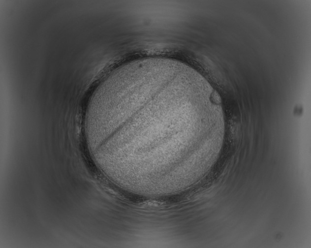 X0000089360691200707131615