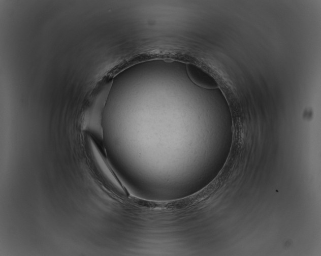 X0000089360692200707131615