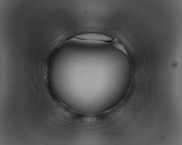 X0000089360693200707131615