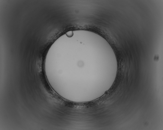 X0000089360694200707131615