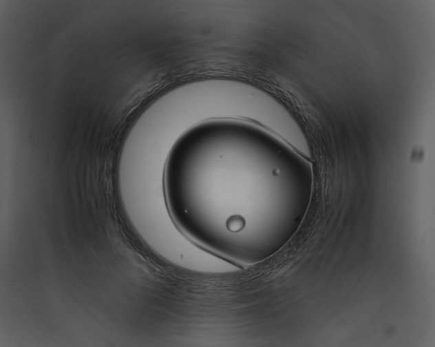 X0000089360696200707131615