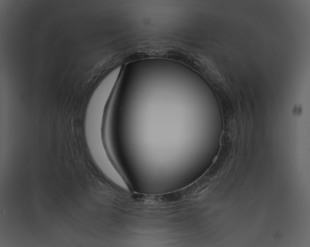X0000089360697200707131615