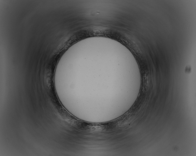 X0000089360698200707131615