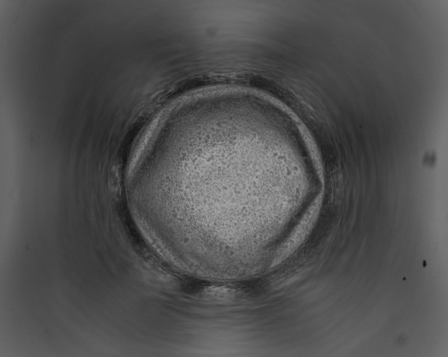 X0000089360699200707131615