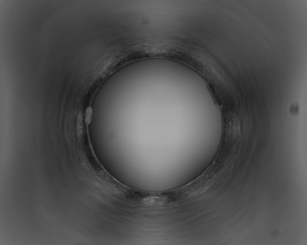 X0000089360700200707131615