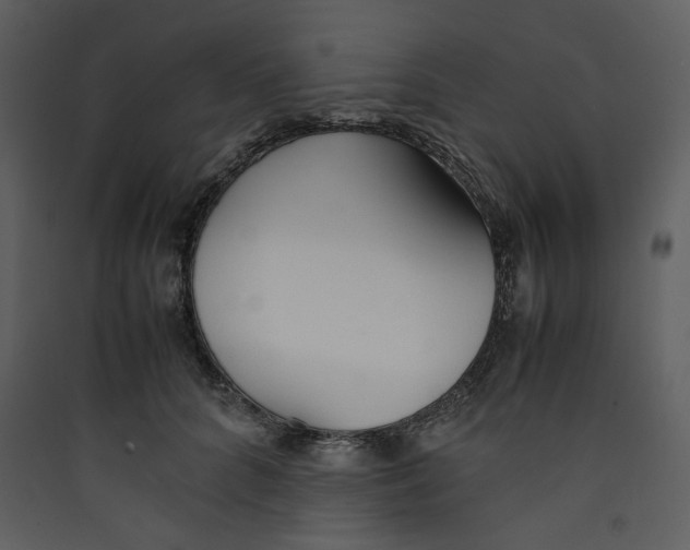 X0000089360704200707131615