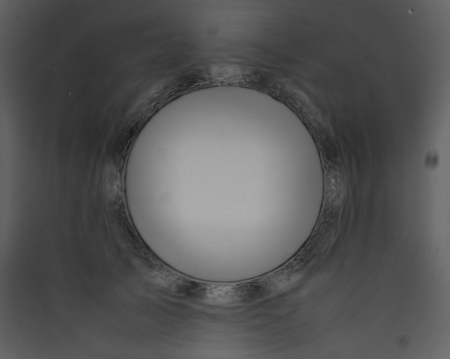 X0000089360705200707131615