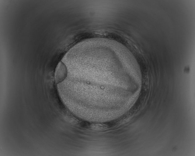X0000089360707200707131615