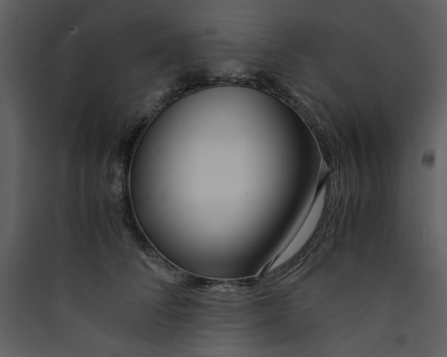 X0000089360708200707131615