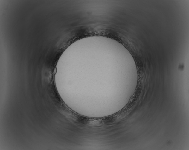 X0000089360709200707131615