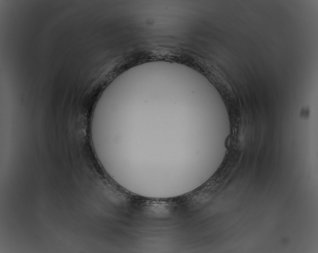 X0000089360710200707131615